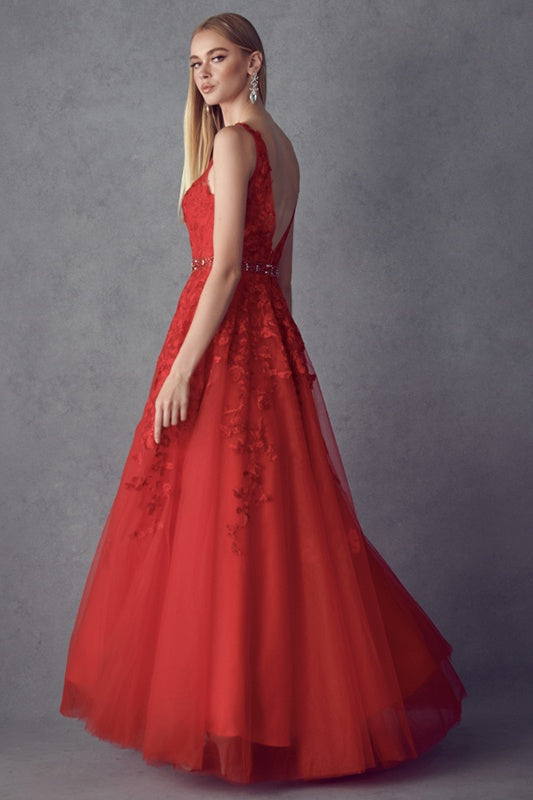 Juliet 224 V-Neck and Back Embroidered Tulle A-Line Ball Gown