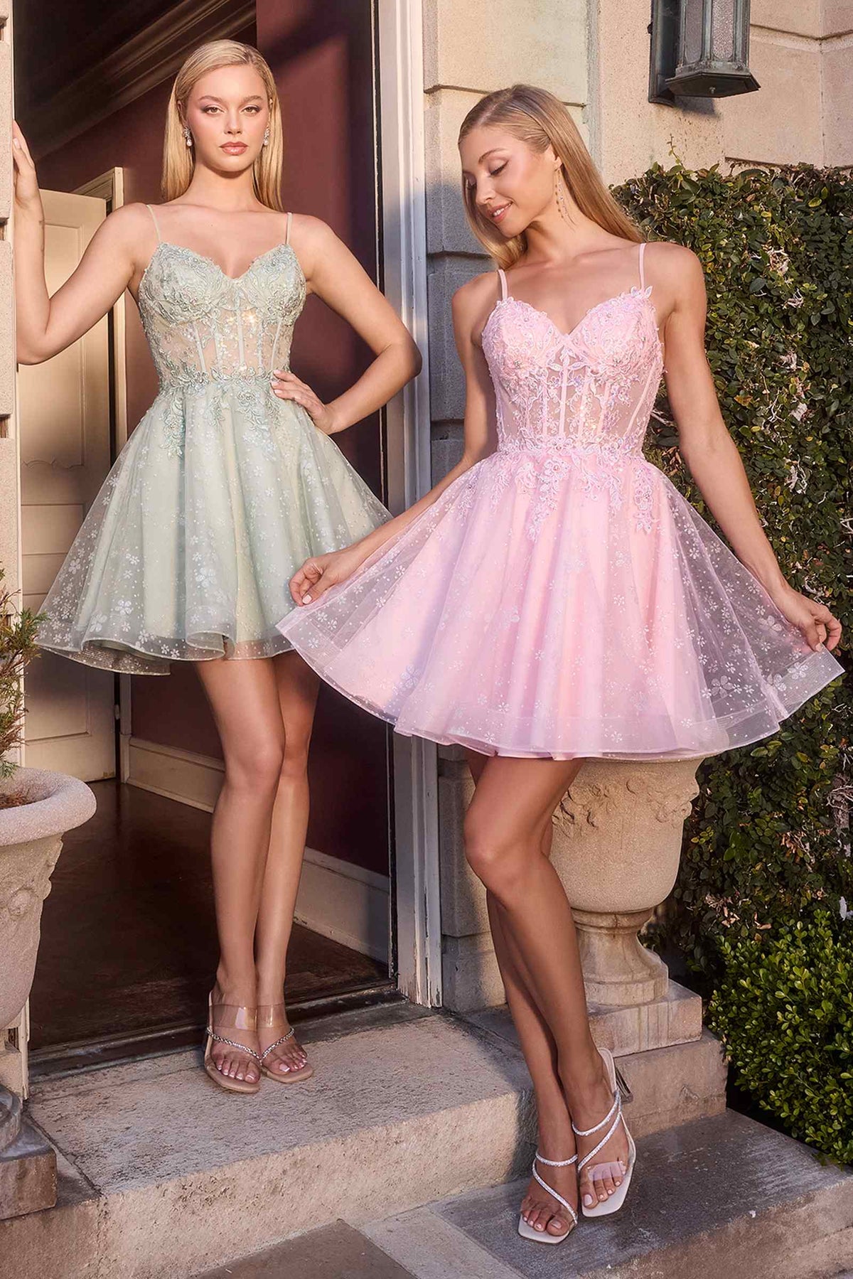 Ladivine CJ419 Short Damas Lace Applique A-Line Dress