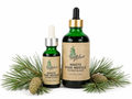 White Pine Needle Elixir