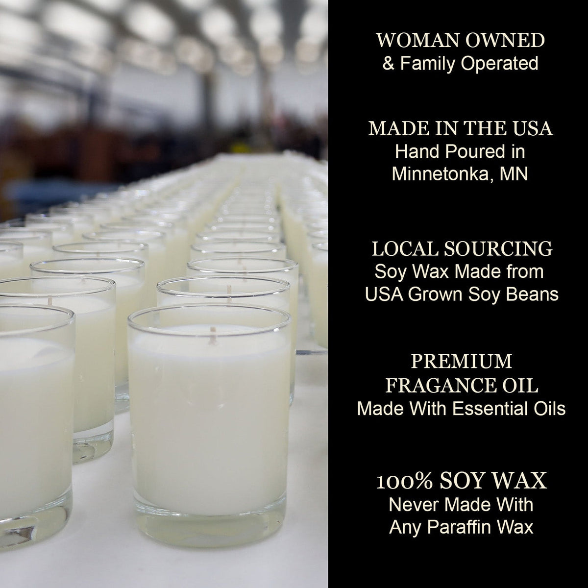 Lake Minnetonka Map Soy Candle