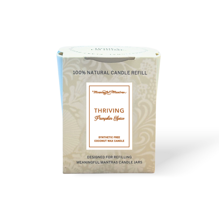 Pumpkin Spice Natural Candle 8oz Kaia Collection Refill