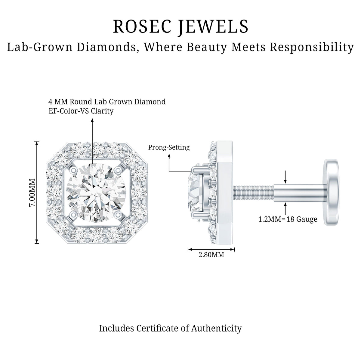 Simple Octagon Shape Diamond Helix Earring