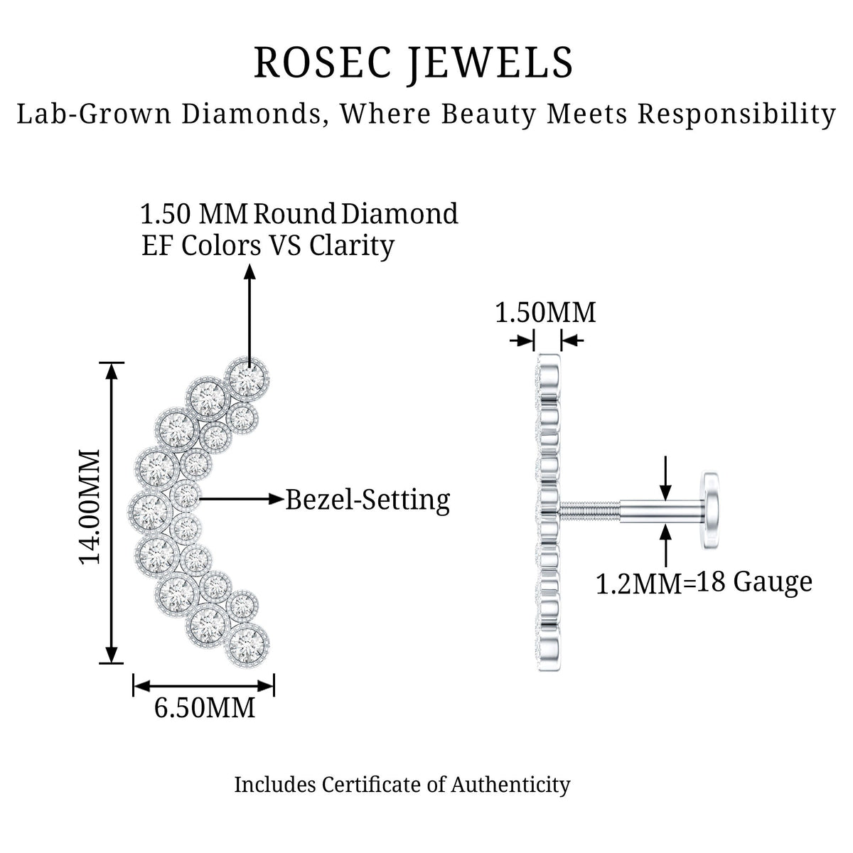 Diamond Curved Crawler Earring in Bezel Set