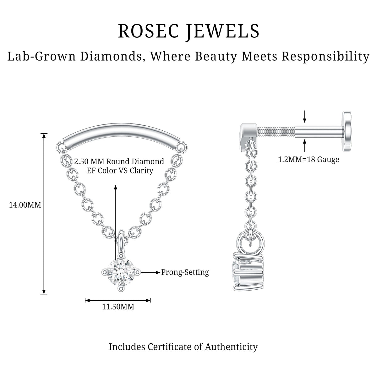 Single Diamond Hidden Helix Earring with Chain