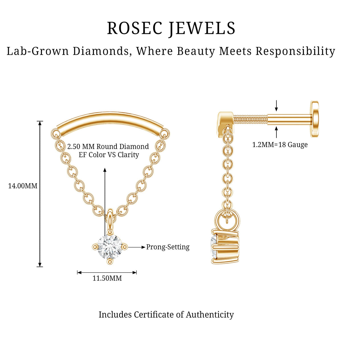 Single Diamond Hidden Helix Earring with Chain