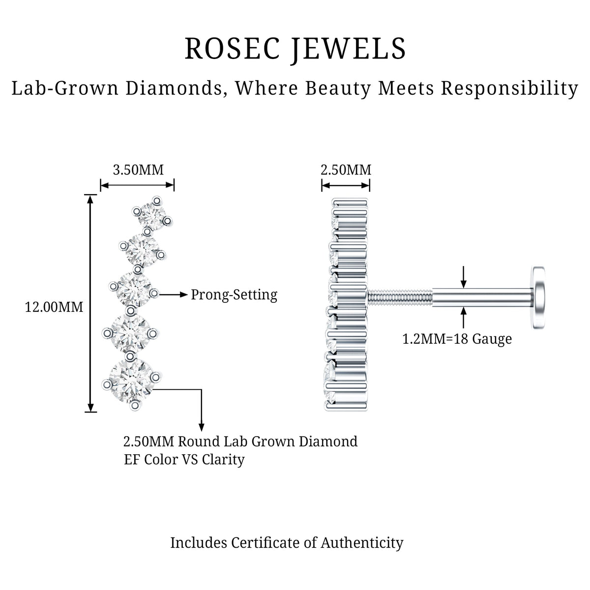 Minimal Graduated Diamond Crawler Earring