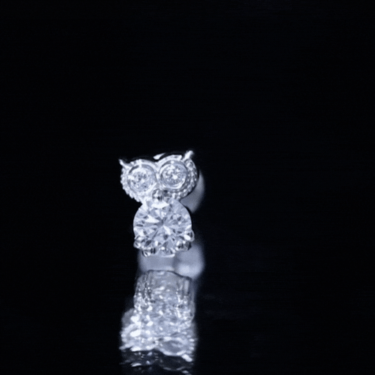 Diamond Owl Earring for Cartilage Piercing