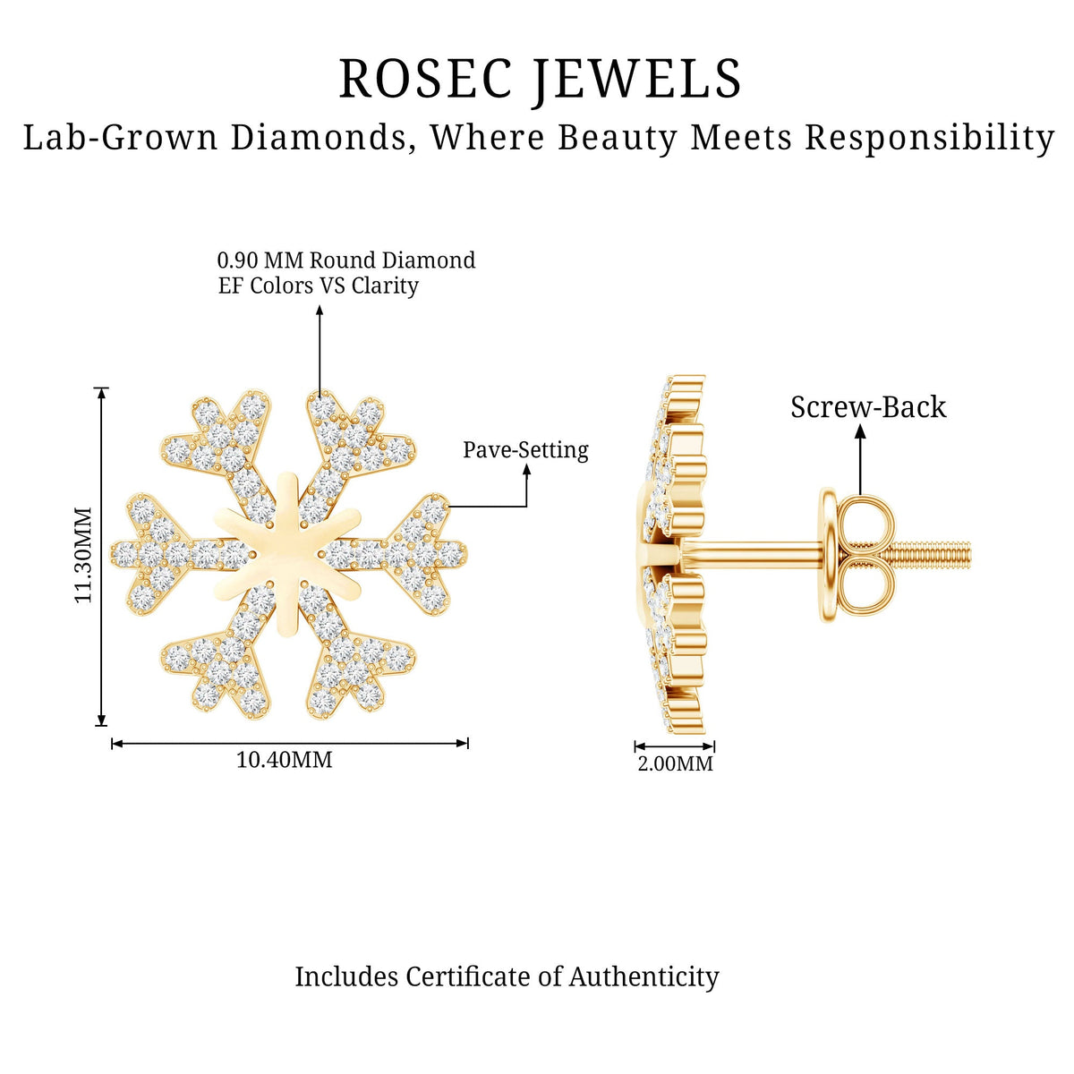 Natural Diamond Snowflake Earrings with Screw Back