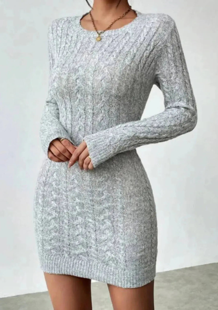 Niche Knit Crew Neck Mini Dress